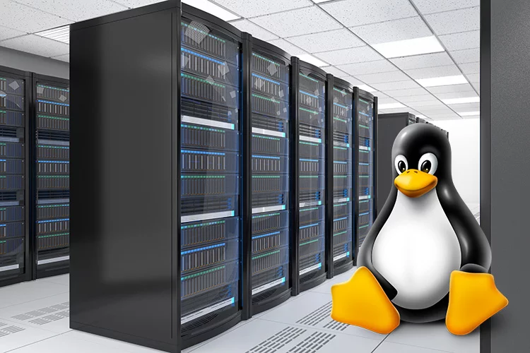 How To Monitor Files On Your Linux Server